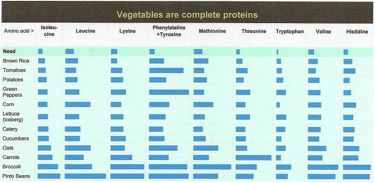 maino-acid-profile-in-vegetables-001.jpg